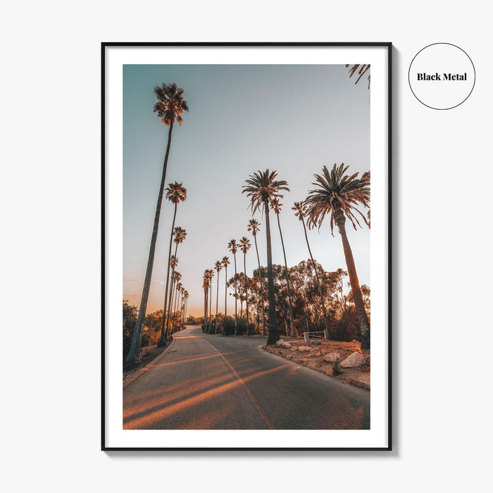 Los Angeles Fine Art Photo Print, Elysian Park, Palm Trees, California Wall Decor