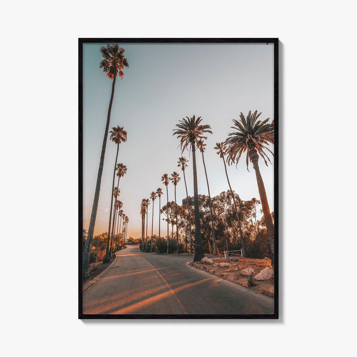 Los Angeles Fine Art Photo Print, Elysian Park, Palm Trees, California Wall Decor