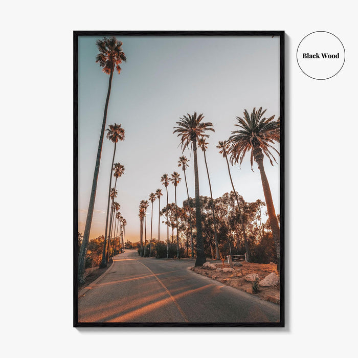 Los Angeles Fine Art Photo Print, Elysian Park, Palm Trees, California Wall Decor