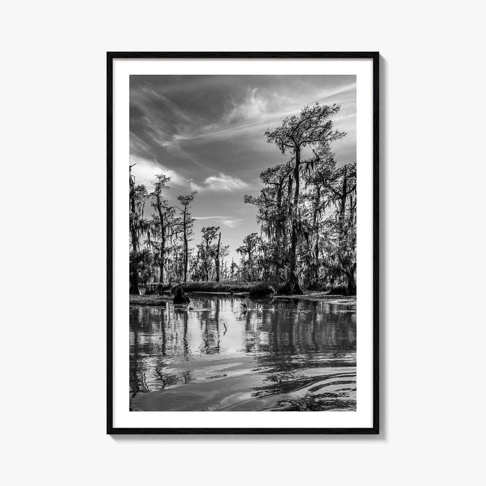Louisiana Black and White Fine Art Photo Print, New Orleans Swamp, Bayou Poster