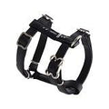 Luna H-Harness Xsml Black Paw