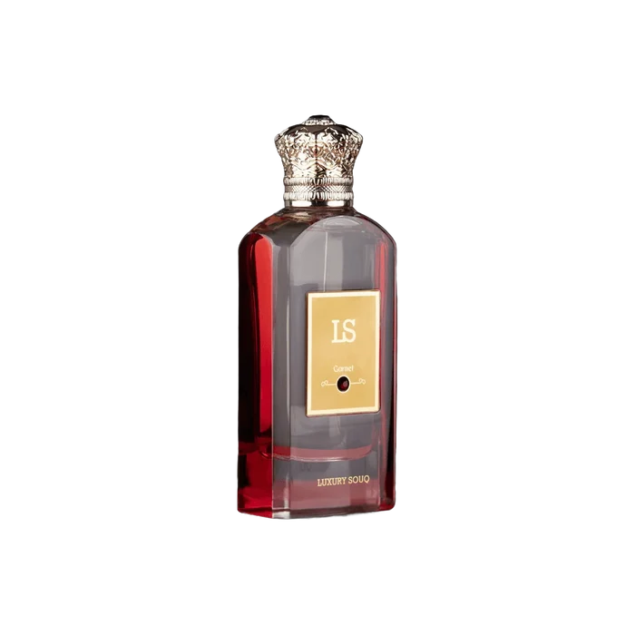 Luxury Souq LS Garnet Eau de Parfum For Men 50 ML – additional product photo 3