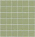 Madras Woven