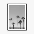 Manhattan Beach Black and White Fine Art Photo Print, Palm Trees LA California Poster