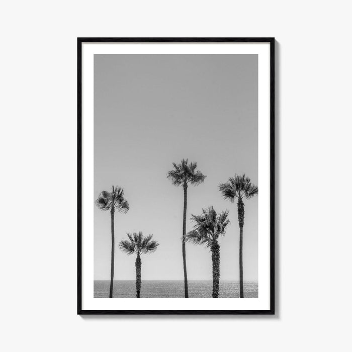 Manhattan Beach Black and White Fine Art Photo Print, Palm Trees LA California Poster