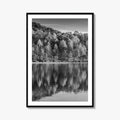 Maryland Black and White Fine Art Photo Print, Lake Habeeb, Rocky Gap State Park