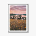 Minnesota Fine Art Photo Print, Summer Flowers Botanical Poster, USA