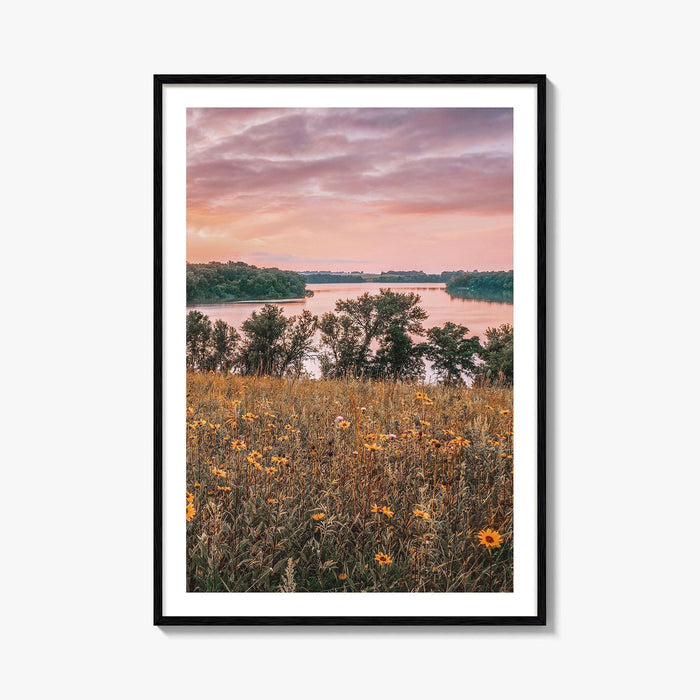 Minnesota Fine Art Photo Print, Summer Flowers Botanical Poster, USA