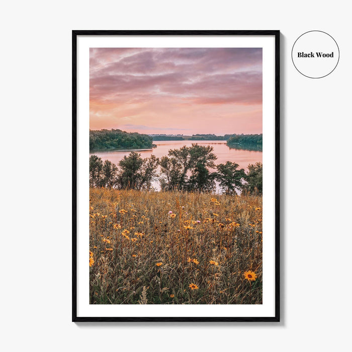 Minnesota Fine Art Photo Print, Summer Flowers Botanical Poster, USA