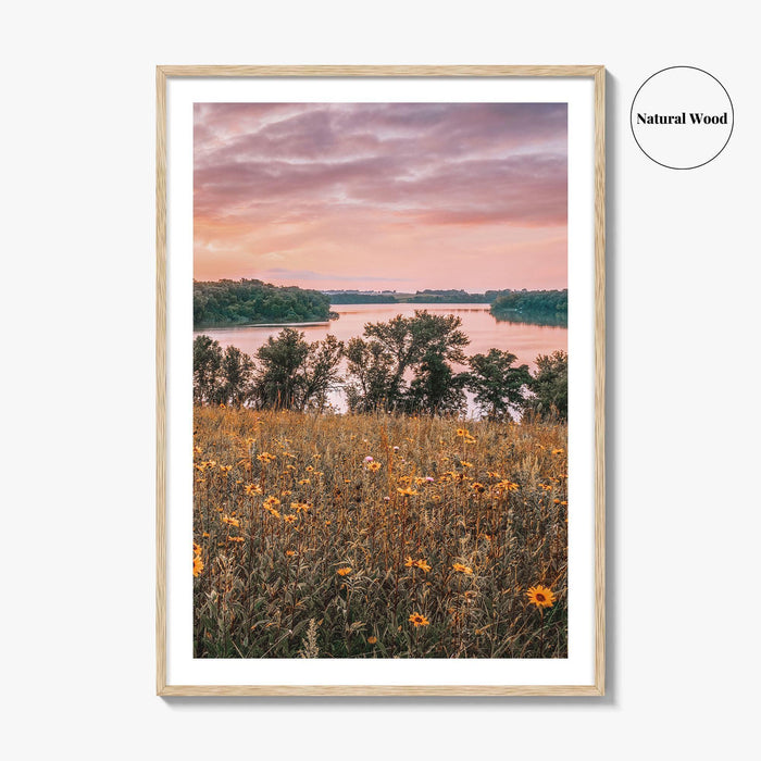 Minnesota Fine Art Photo Print, Summer Flowers Botanical Poster, USA