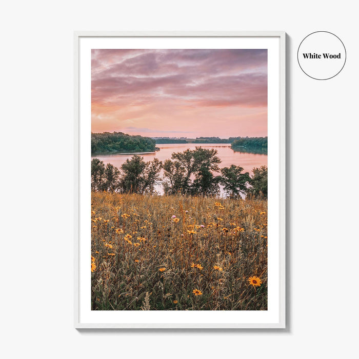 Minnesota Fine Art Photo Print, Summer Flowers Botanical Poster, USA