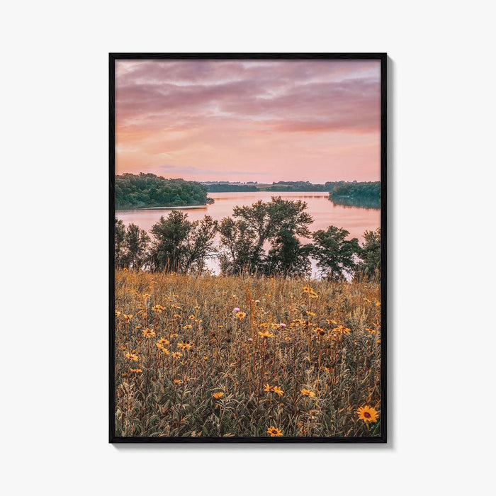 Minnesota Fine Art Photo Print, Summer Flowers Botanical Poster, USA