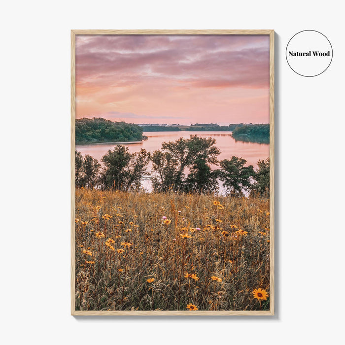 Minnesota Fine Art Photo Print, Summer Flowers Botanical Poster, USA