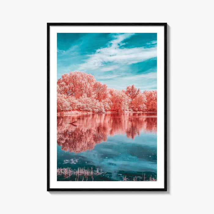 Minnesota Valley National Wildlife Refuge Fine Art Photo Print, Marsh Lake Infrared Poster