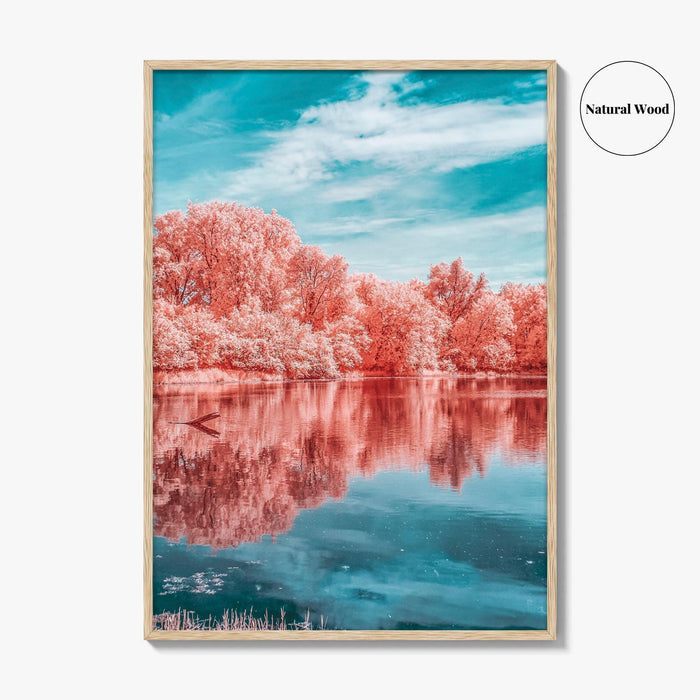 Minnesota Valley National Wildlife Refuge Fine Art Photo Print, Marsh Lake Infrared Poster