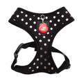 Modern Dotty Harness Black Medium