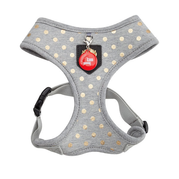 Modern Dotty Harness Grey Small