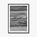 Mongolia Black and White Fine Art Photo Print, Ger Yurt, Goat Herd, Steppe Poster