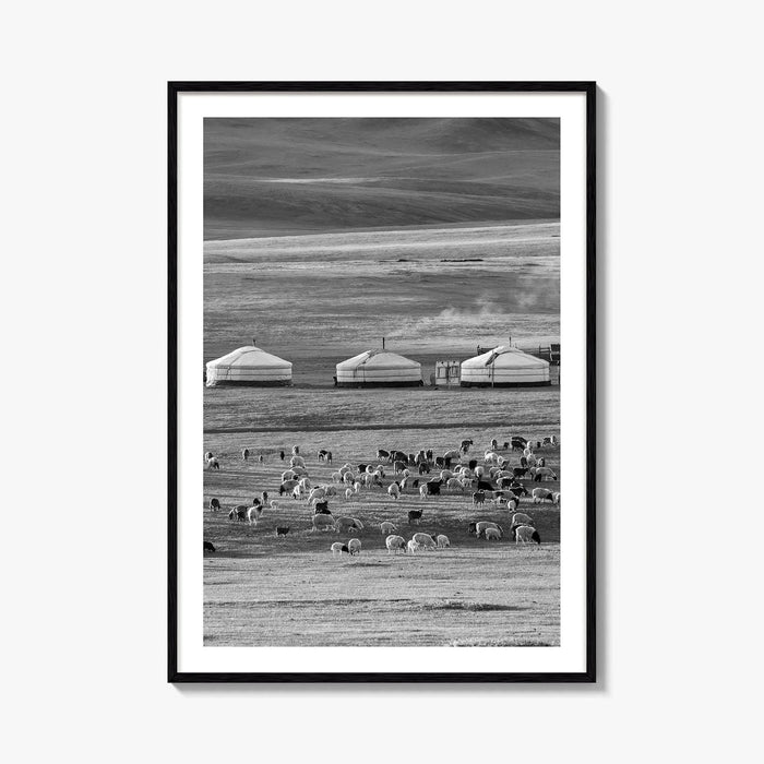 Mongolia Black and White Fine Art Photo Print, Ger Yurt, Goat Herd, Steppe Poster