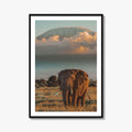 Mount Kilimanjaro Fine Art Photo Print, Elephant, Tanzania, Africa, Wildlife Poster