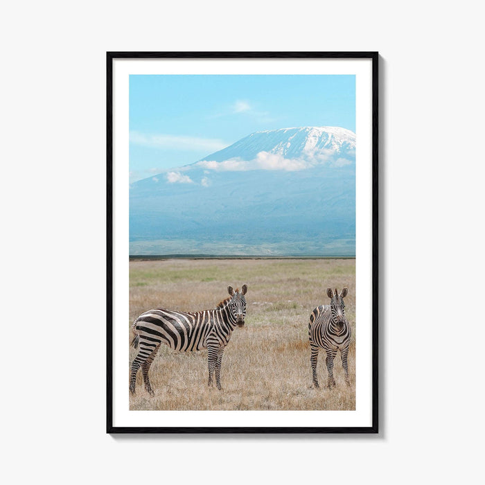 Mount Kilimanjaro Fine Art Photo Print, Zebra, Tanzania Poster, Amboseli National Park
