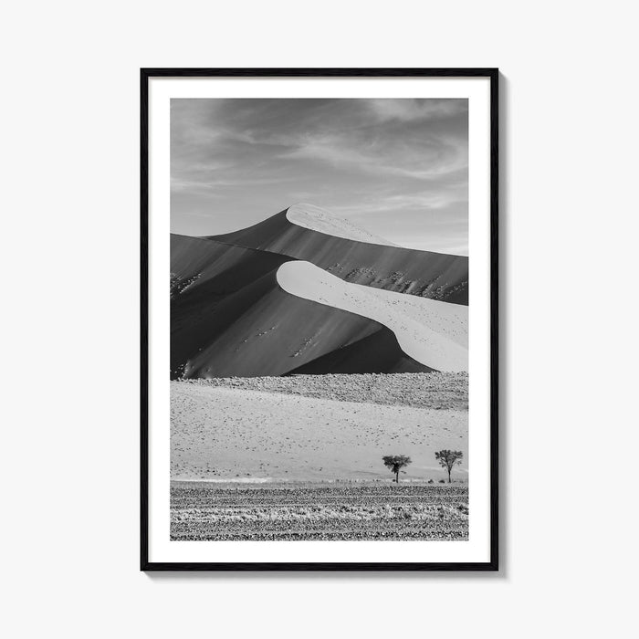 Namibia Black and White Fine Art Photo Print, Namib Desert Dune, Namib-Naukluft Poster