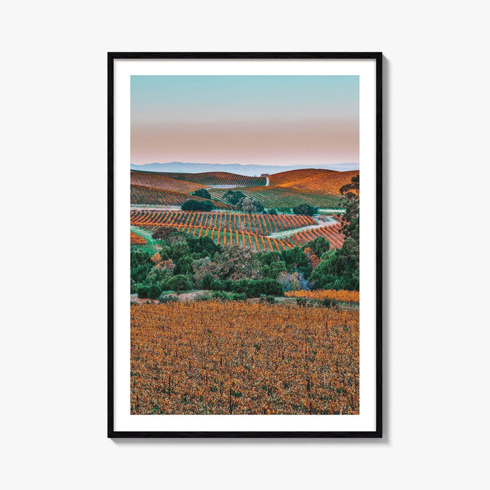 Napa Valley Fine Art Photo Print, Sonoma Valley, California Wine Country Poster