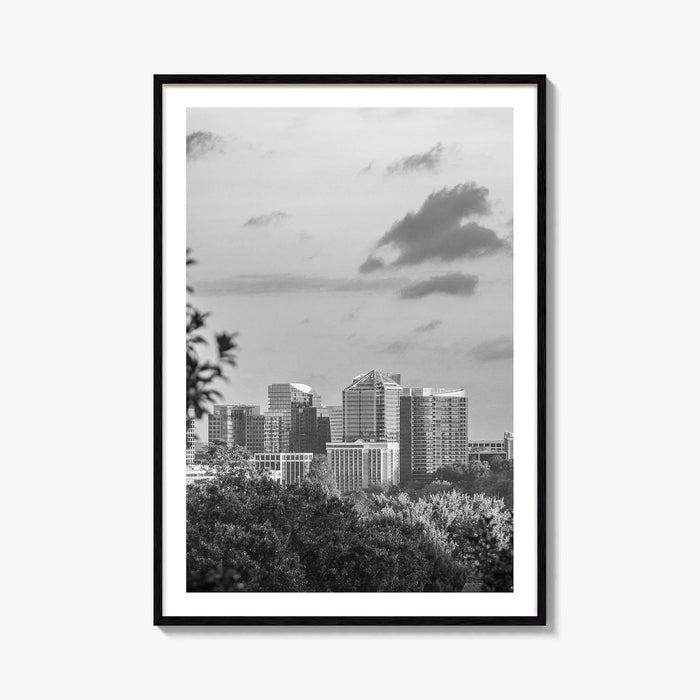Northern Virginia Black and White Fine Art Photo Print, Washington DC, USA Wall Poster