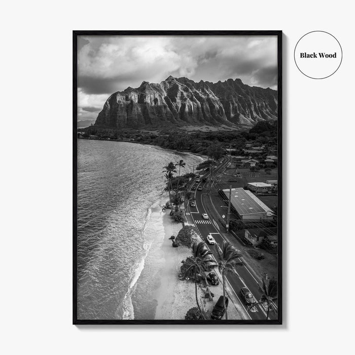 Oahu Black and White Fine Art Photo Print, Hawaii Beach Wall Decor Poster, Honolulu