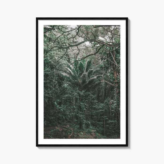 Oahu Fine Art Photo Print, Hawaii Wall Poster, Maui Kauai USA