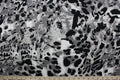 Featuring an eye-catching ocelot print in black, white, shades of gray, and light beige, the unique pattern stands out while the classic colors blend in for a sophisticated and timeless look.  The high-quality cotton material ensures lasting durability and softness.  It would be great for apparel, quilting, crafting and sewing projects.