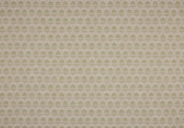 Face Side - Click Image to Enlarge