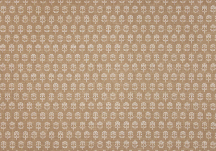 Face Side - Click Image to Enlarge