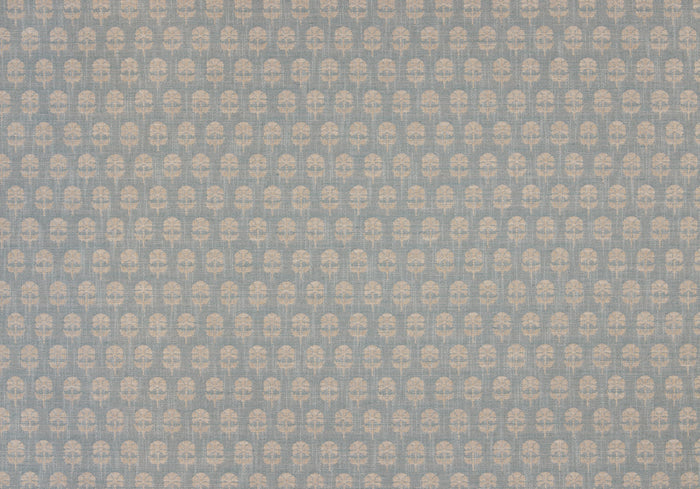 Face Side - Click Image to Enlarge