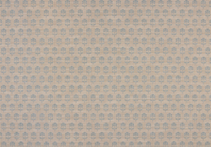 Back Side - Click Image to Enlarge