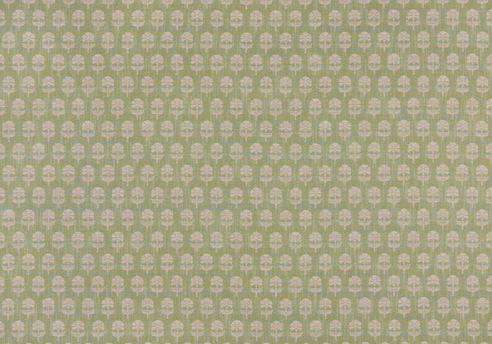 Back Side - Click Image to Enlarge