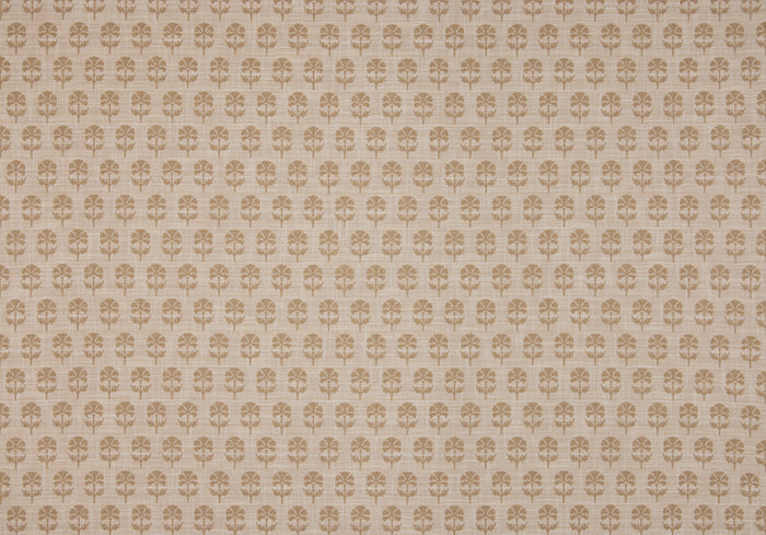 Back Side - Click Image to Enlarge