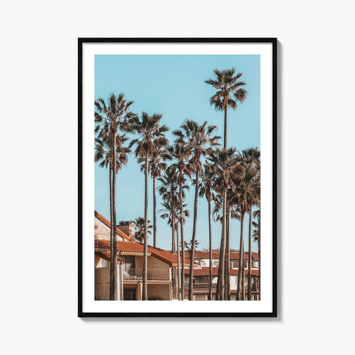Oxnard Fine Art Photo Print, California Coastal Palm Trees, Ventura County Wall Poster