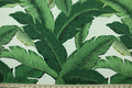 This fabric features palm tree leave design in green, black, golden tan and white.