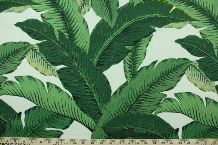 This fabric features palm tree leave design in green, black, golden tan and white.