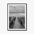 Whiritoa Black and White Fine Art Photo Print, Coromandel New Zealand North Island Poster