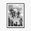Palm Springs Black and White Fine Art Photo Print, Coachella Valley California Poster