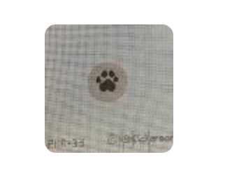 Paw Print on Tan