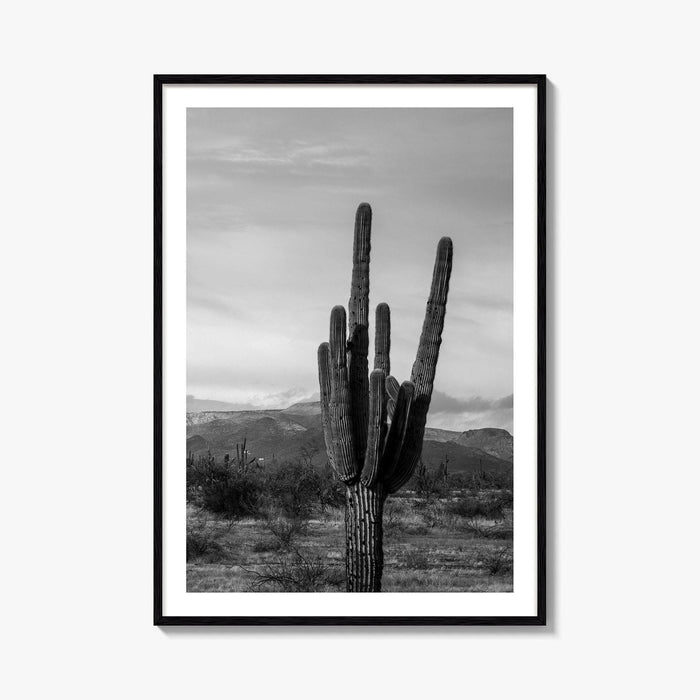 Phoenix Black and White Fine Art Photo Print, Arizona Saguaro Cactus Mountains, USA Poster