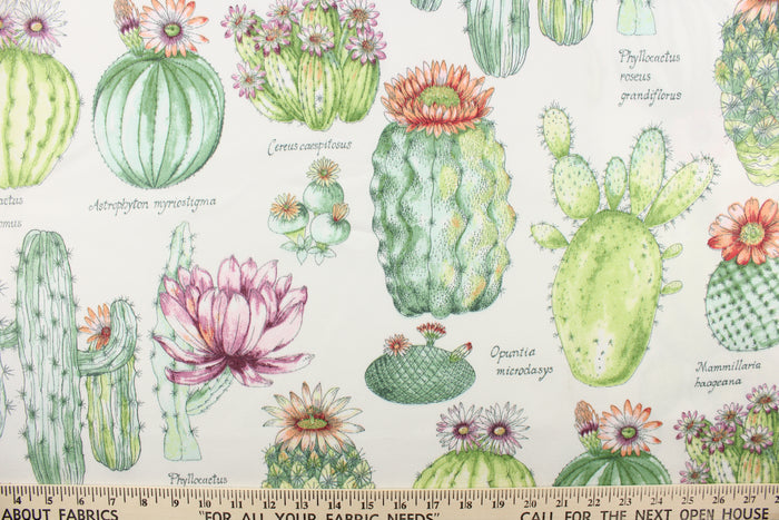 This outdoor fabric features a design of different  cactus in green, orange, purple, and peach with hints golden yellow against white.
