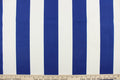 This indoor/outdoor fabric in blue and white stripes is perfect for any project where the fabric will be exposed to the weather.