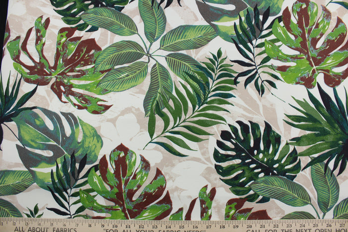 The Richloom Solarium© Piermont in Floral print contains bold, tropical palm leaves in shades of green, beige, black, and brown making it ideal for outdoor multipurpose use.  It has been tested to resist 500 hours of exposure to sunlight.  The fabric is also water and stain resistant.  Perfect for porches, patios and pool side.  Uses include toss pillows, cushions, upholstery, tote bags and more.