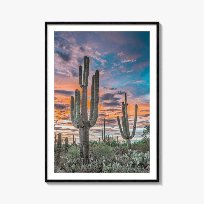 Saguaro National Park Fine Art Photo Print, Tucson Arizona USA, Wall Poster