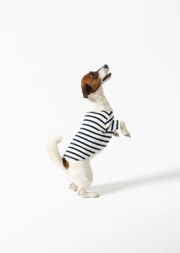 Saint James Dog ‘Toutounière’ Breton Sailor Shirt