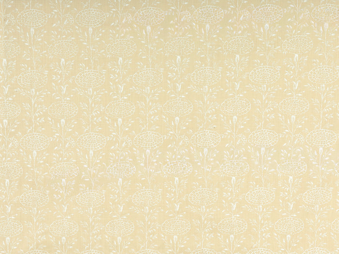 Click Image to Enlarge